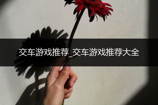 交车游戏推荐_交车游戏推荐大全
