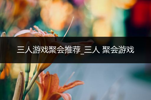三人游戏聚会推荐_三人 聚会游戏