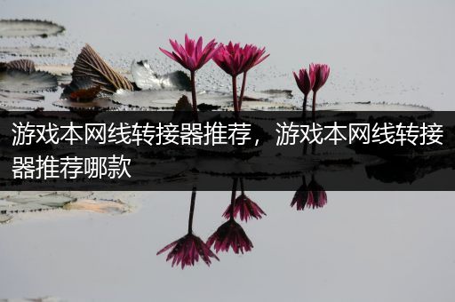 游戏本网线转接器推荐，游戏本网线转接器推荐哪款