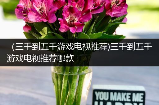 （三千到五千游戏电视推荐)三千到五千游戏电视推荐哪款