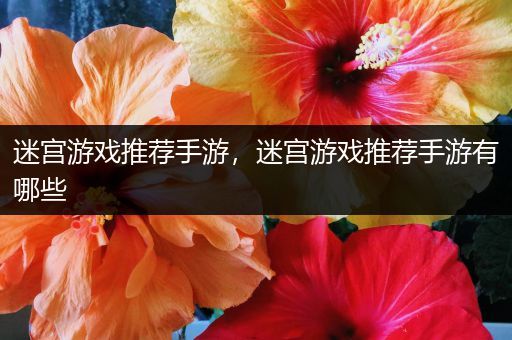 迷宫游戏推荐手游，迷宫游戏推荐手游有哪些