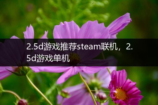 2.5d游戏推荐steam联机，2.5d游戏单机
