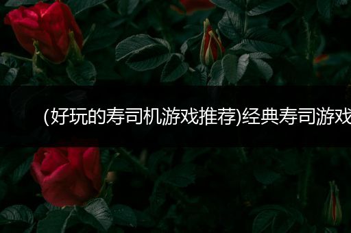 （好玩的寿司机游戏推荐)经典寿司游戏