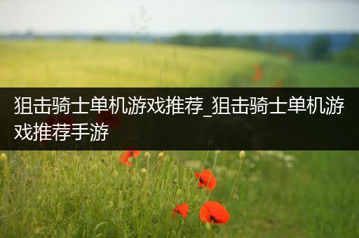 狙击骑士单机游戏推荐_狙击骑士单机游戏推荐手游