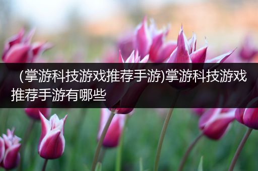 （掌游科技游戏推荐手游)掌游科技游戏推荐手游有哪些