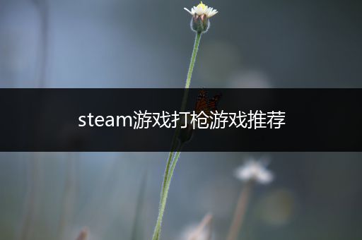 steam游戏打枪游戏推荐