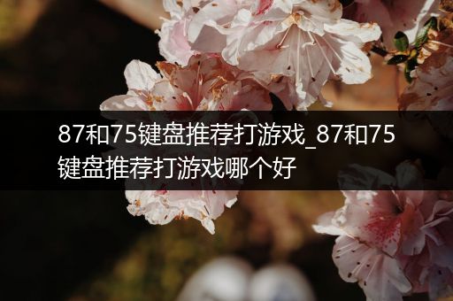 87和75键盘推荐打游戏_87和75键盘推荐打游戏哪个好