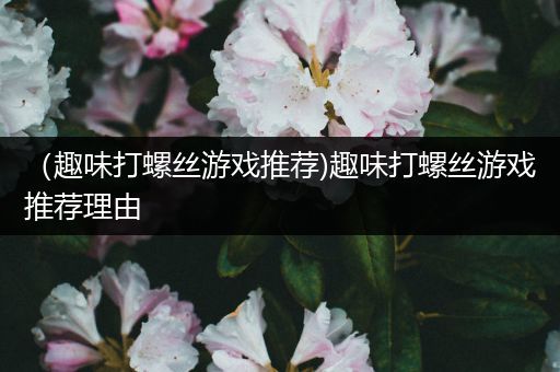 （趣味打螺丝游戏推荐)趣味打螺丝游戏推荐理由