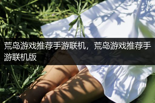 荒岛游戏推荐手游联机，荒岛游戏推荐手游联机版