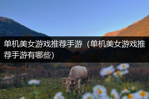 单机美女游戏推荐手游（单机美女游戏推荐手游有哪些）