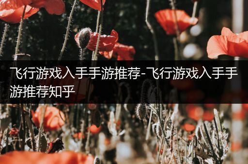 飞行游戏入手手游推荐-飞行游戏入手手游推荐知乎
