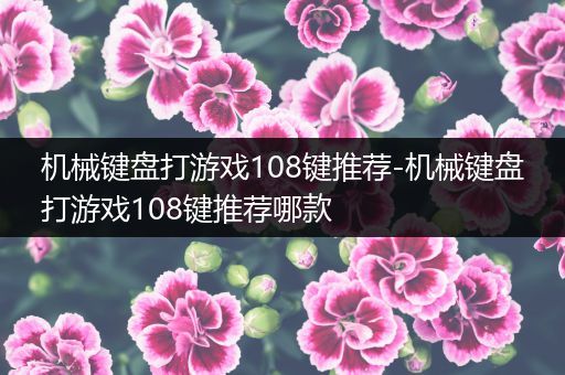 机械键盘打游戏108键推荐-机械键盘打游戏108键推荐哪款