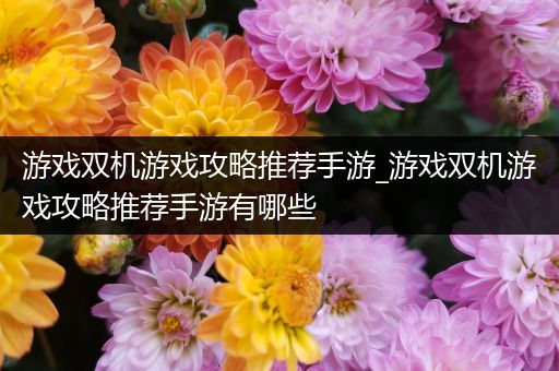 游戏双机游戏攻略推荐手游_游戏双机游戏攻略推荐手游有哪些