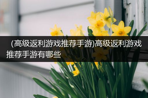 （高级返利游戏推荐手游)高级返利游戏推荐手游有哪些