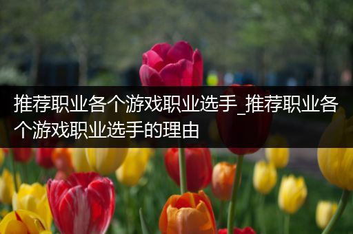 推荐职业各个游戏职业选手_推荐职业各个游戏职业选手的理由