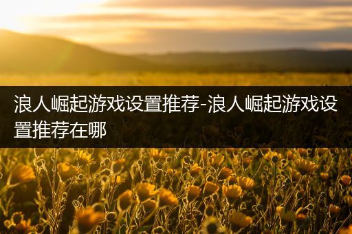 浪人崛起游戏设置推荐-浪人崛起游戏设置推荐在哪