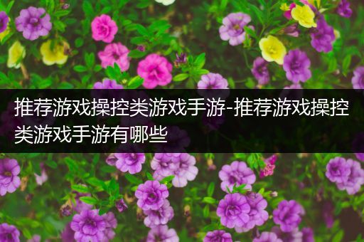 推荐游戏操控类游戏手游-推荐游戏操控类游戏手游有哪些