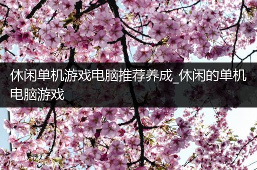 休闲单机游戏电脑推荐养成_休闲的单机电脑游戏