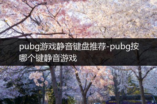 pubg游戏静音键盘推荐-pubg按哪个键静音游戏