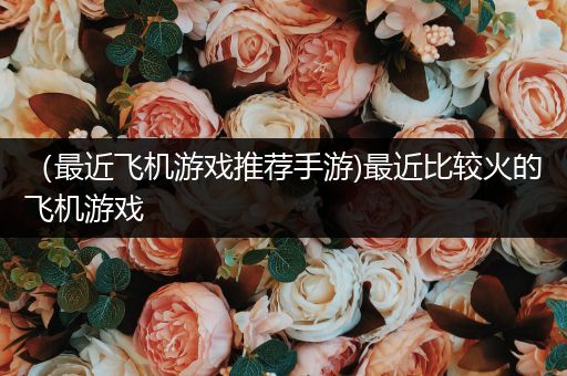 （最近飞机游戏推荐手游)最近比较火的飞机游戏