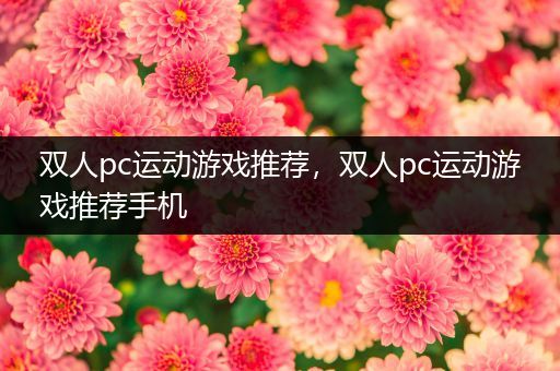 双人pc运动游戏推荐，双人pc运动游戏推荐手机