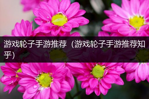游戏轮子手游推荐（游戏轮子手游推荐知乎）