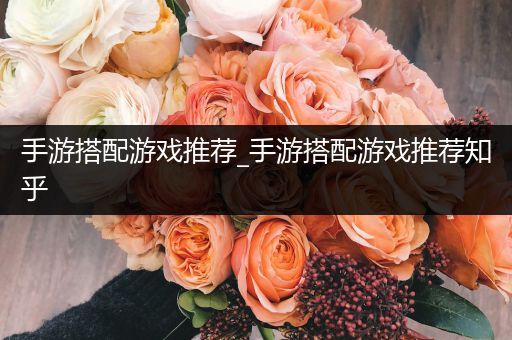 手游搭配游戏推荐_手游搭配游戏推荐知乎