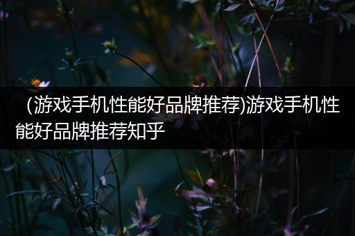 （游戏手机性能好品牌推荐)游戏手机性能好品牌推荐知乎