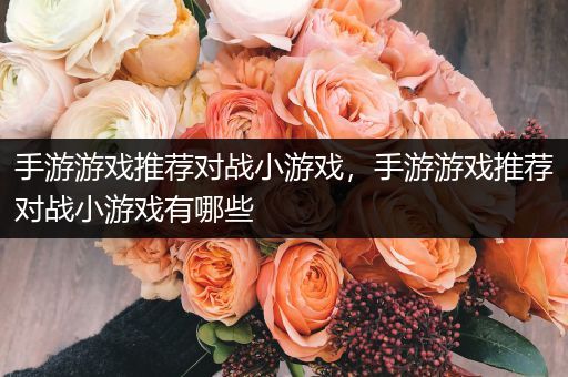 手游游戏推荐对战小游戏，手游游戏推荐对战小游戏有哪些