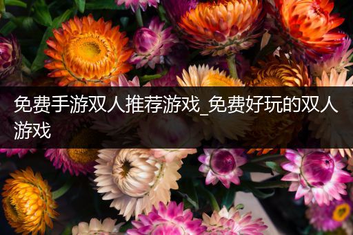 免费手游双人推荐游戏_免费好玩的双人游戏