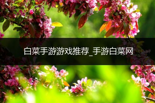 白菜手游游戏推荐_手游白菜网