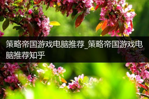 策略帝国游戏电脑推荐_策略帝国游戏电脑推荐知乎