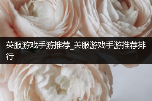 英服游戏手游推荐_英服游戏手游推荐排行