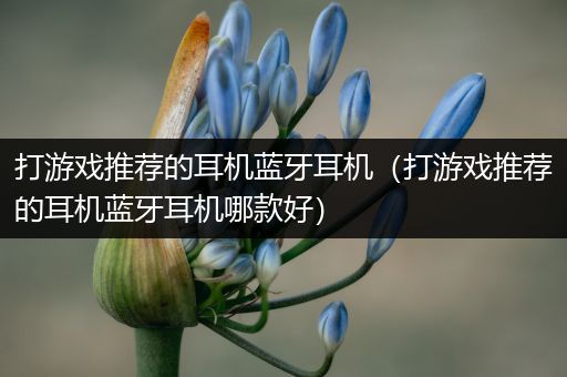 打游戏推荐的耳机蓝牙耳机（打游戏推荐的耳机蓝牙耳机哪款好）