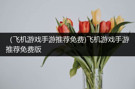 （飞机游戏手游推荐免费)飞机游戏手游推荐免费版