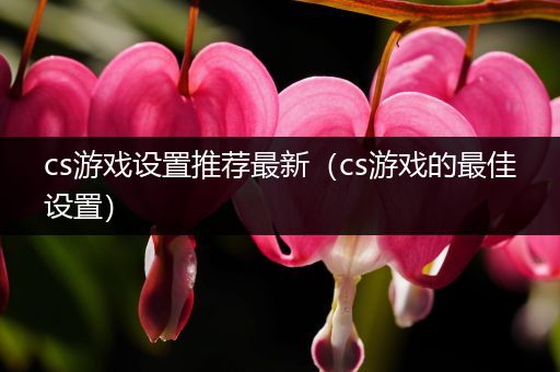 cs游戏设置推荐最新（cs游戏的最佳设置）