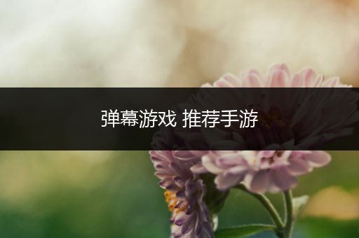 弹幕游戏 推荐手游