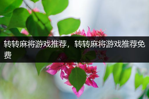 转转麻将游戏推荐，转转麻将游戏推荐免费
