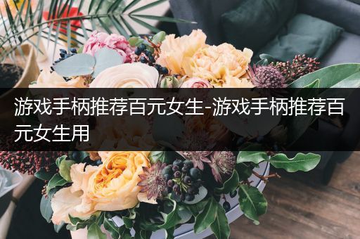 游戏手柄推荐百元女生-游戏手柄推荐百元女生用