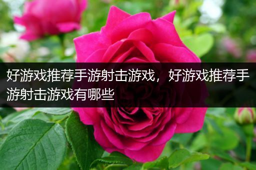 好游戏推荐手游射击游戏，好游戏推荐手游射击游戏有哪些