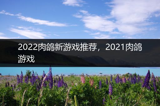 2022肉鸽新游戏推荐，2021肉鸽游戏