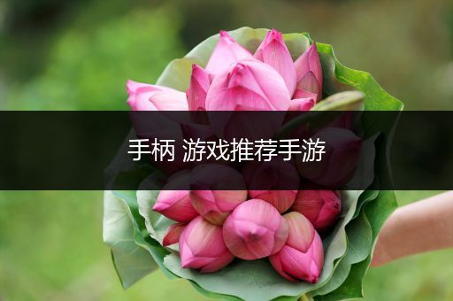手柄 游戏推荐手游
