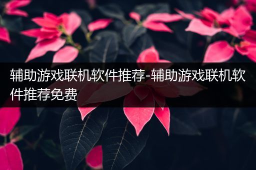 辅助游戏联机软件推荐-辅助游戏联机软件推荐免费