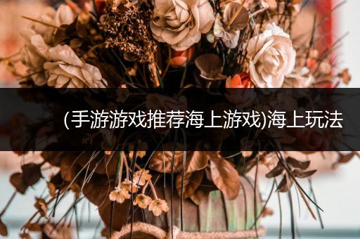 （手游游戏推荐海上游戏)海上玩法