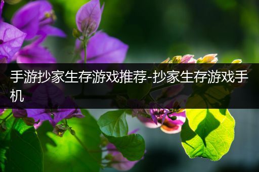手游抄家生存游戏推荐-抄家生存游戏手机