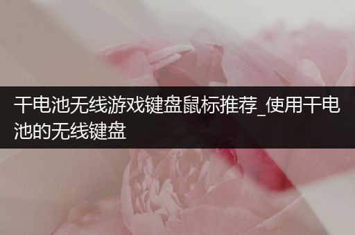 干电池无线游戏键盘鼠标推荐_使用干电池的无线键盘