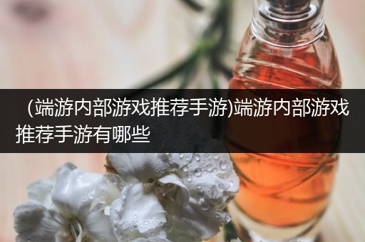 （端游内部游戏推荐手游)端游内部游戏推荐手游有哪些
