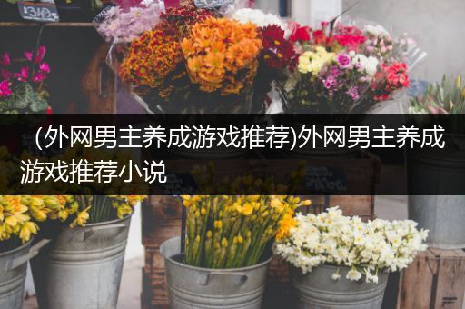 （外网男主养成游戏推荐)外网男主养成游戏推荐小说