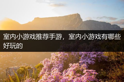 室内小游戏推荐手游，室内小游戏有哪些好玩的