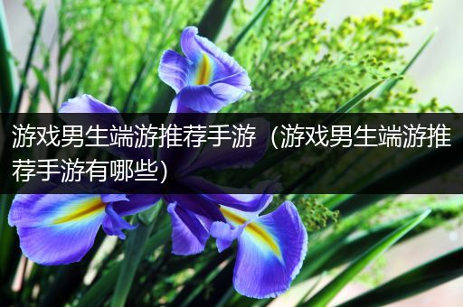 游戏男生端游推荐手游（游戏男生端游推荐手游有哪些）